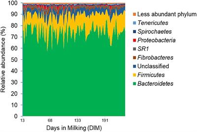 Stability Assessment of the Rumen Bacterial and Archaeal Communities in Dairy Cows Within a Single Lactation and Its Association With Host Phenotype